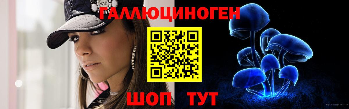 Псилоцибиновые грибы мухоморы  Вход с VPN  Елизово  закладка  Псилоцибиновые грибы Magic Shrooms 